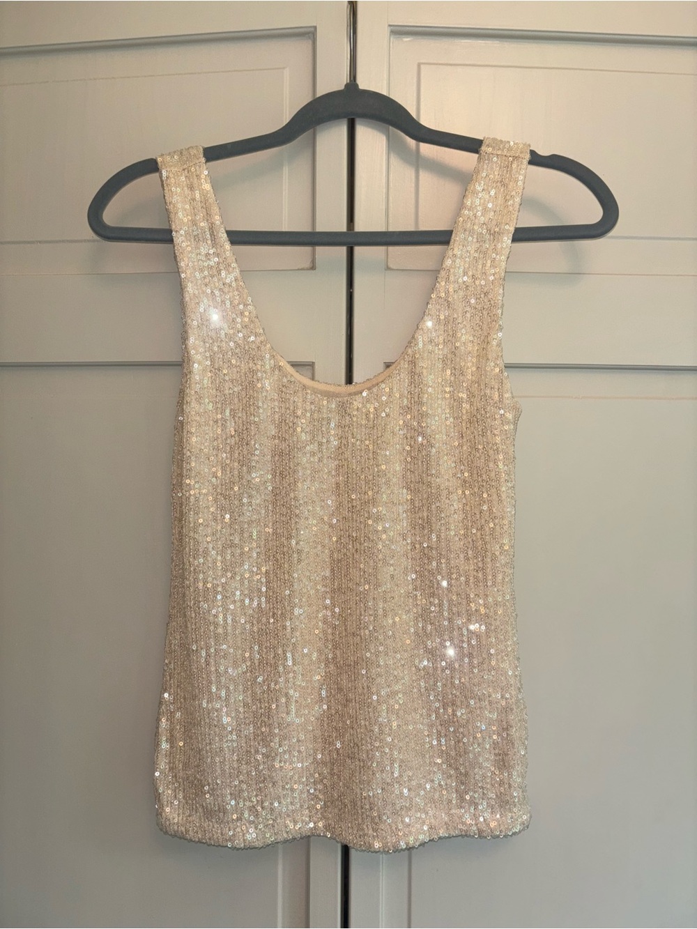 Sophie Rue Sequin Tank Top in Champagne